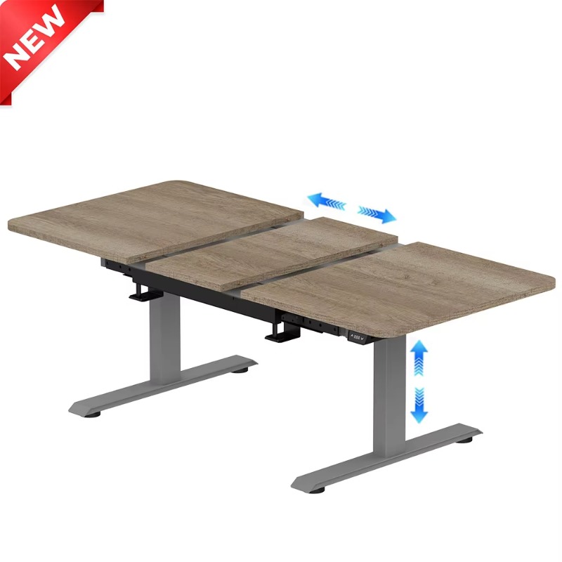 Adjustable in Height and Width - Standing Desk Electric 评论和价格